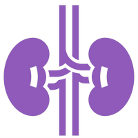 noun-health-heart-4898366-03